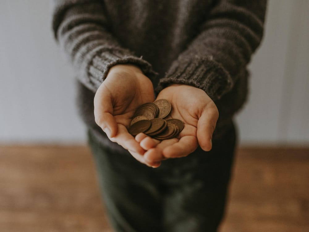 How Mangrove Serves Financial Justice Clients