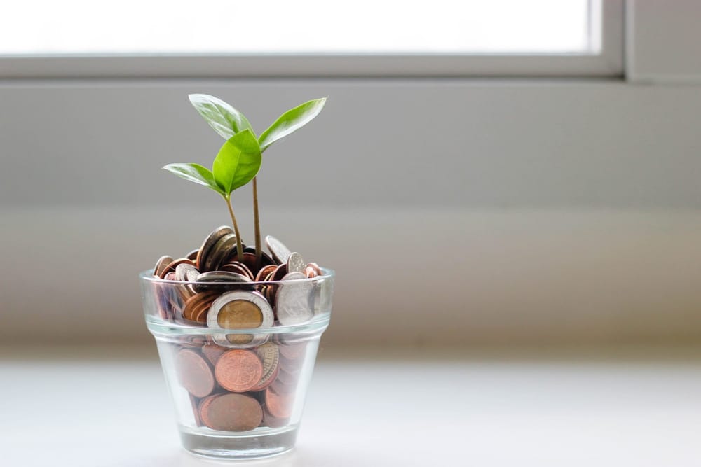 Where to Put Your Dollar This Giving Tuesday