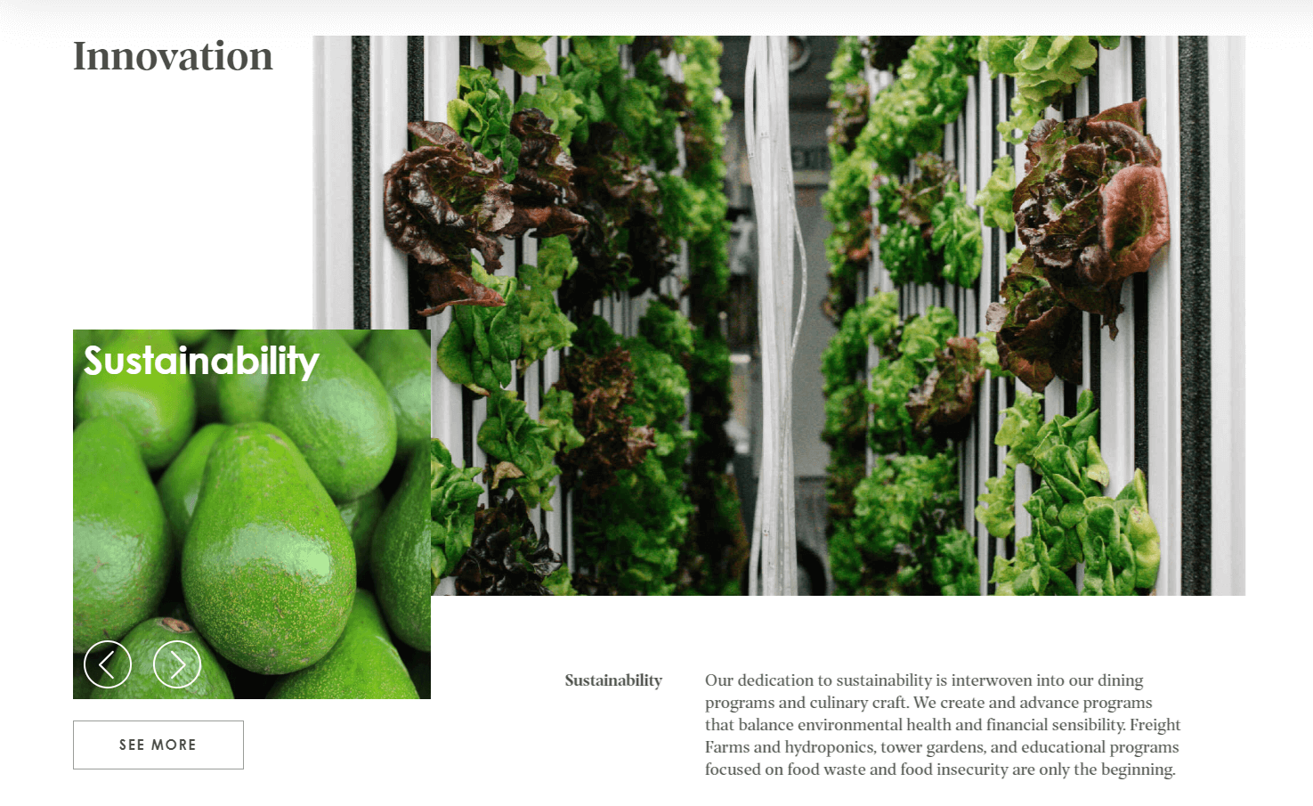 Fresh Ideas Food website screenshot