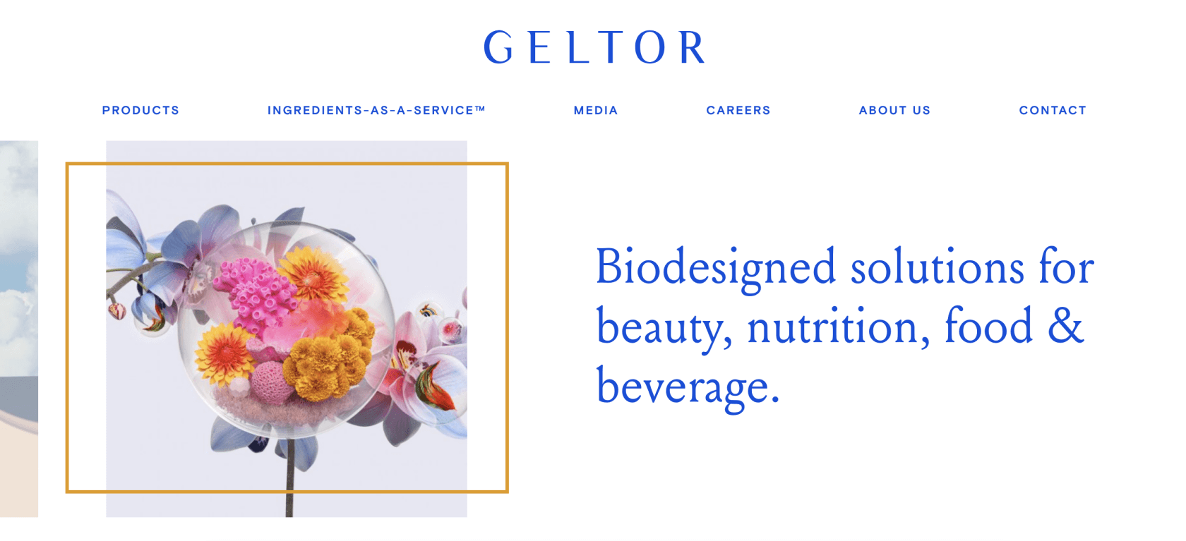 A page from Geltor website showing custom bioactive solutions