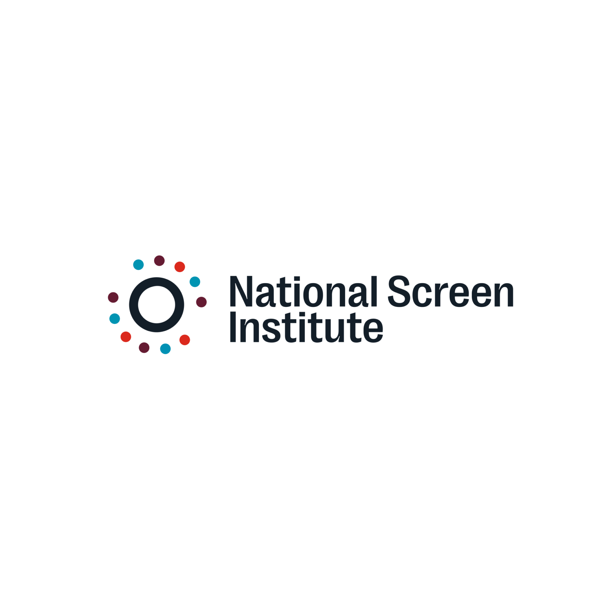 NSI website screenshot