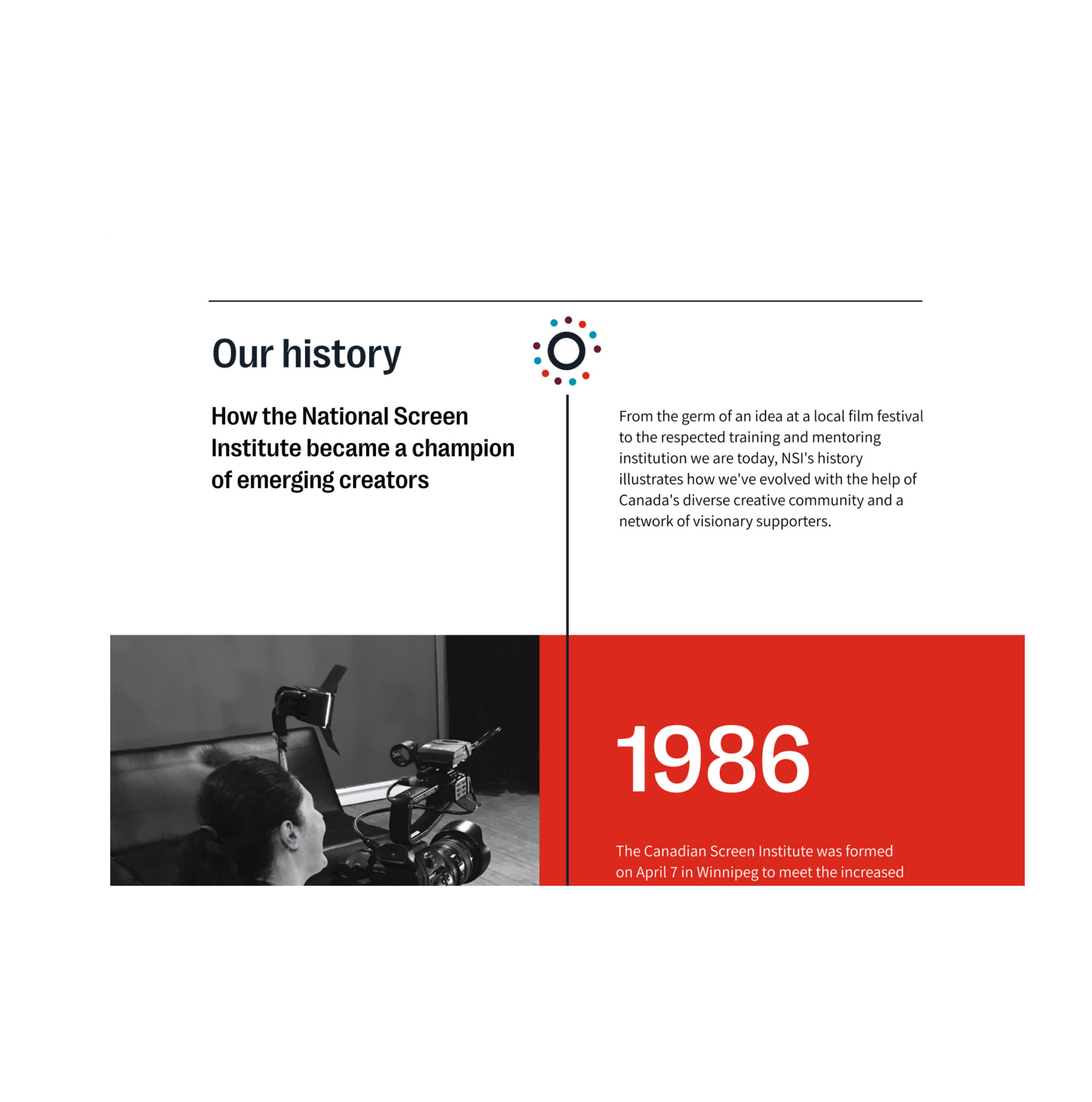 NSI website screenshot