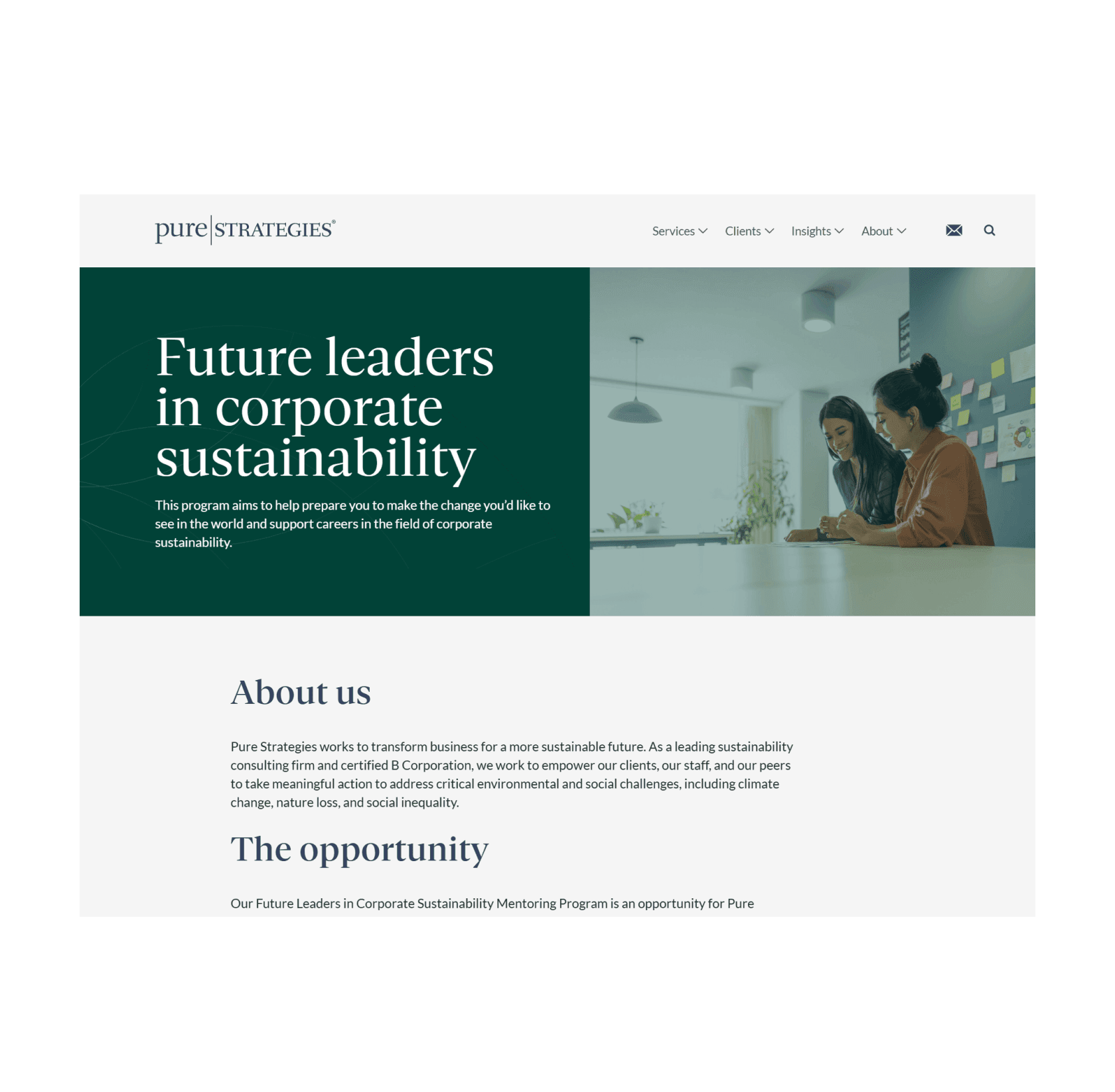 Pure Strategies mentorship page screenshot