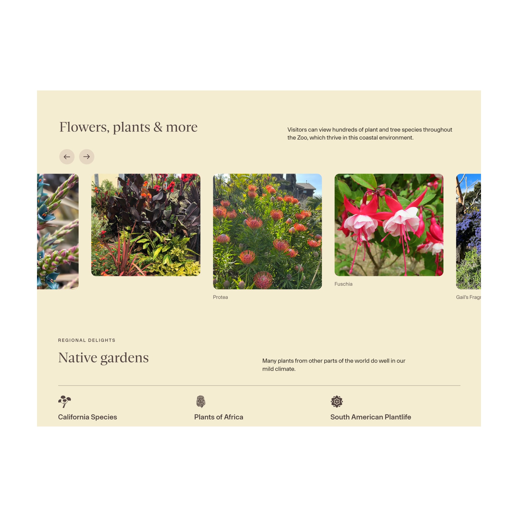 Flowers, plants & more photo slider and a Native gardens section listing California species, plants of Africa, and South American plantlife