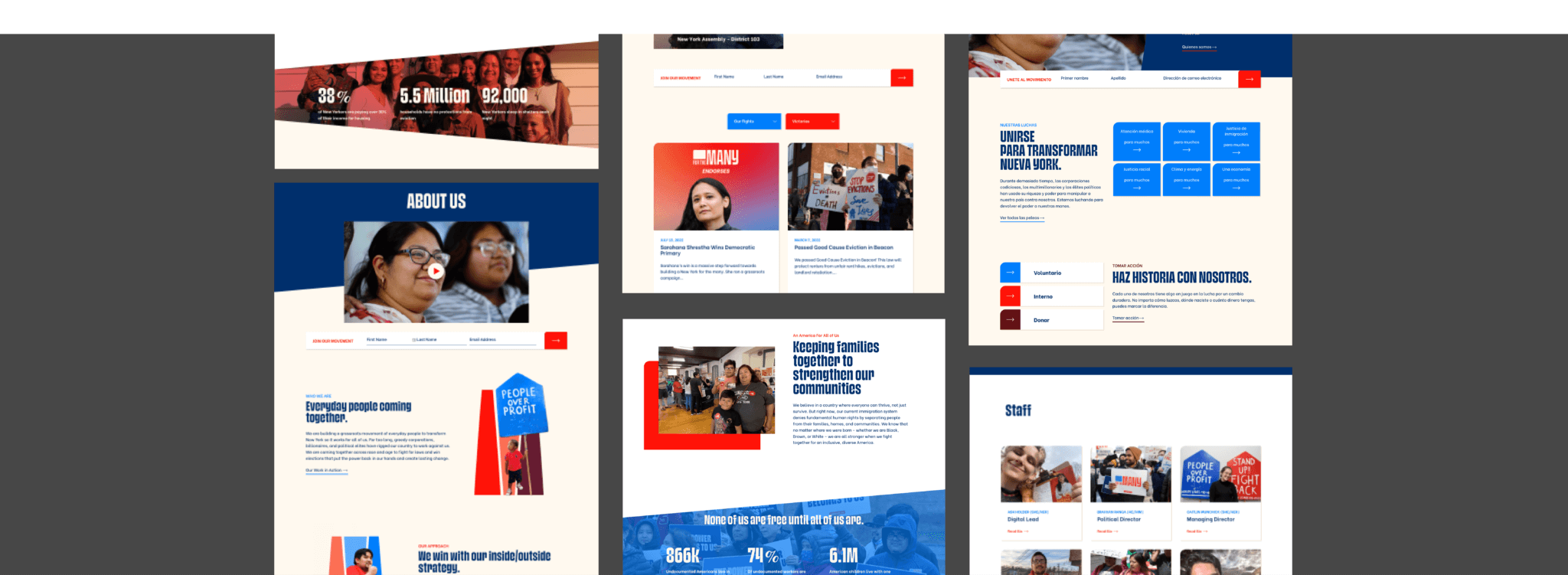 For the Many website Screenshot Various