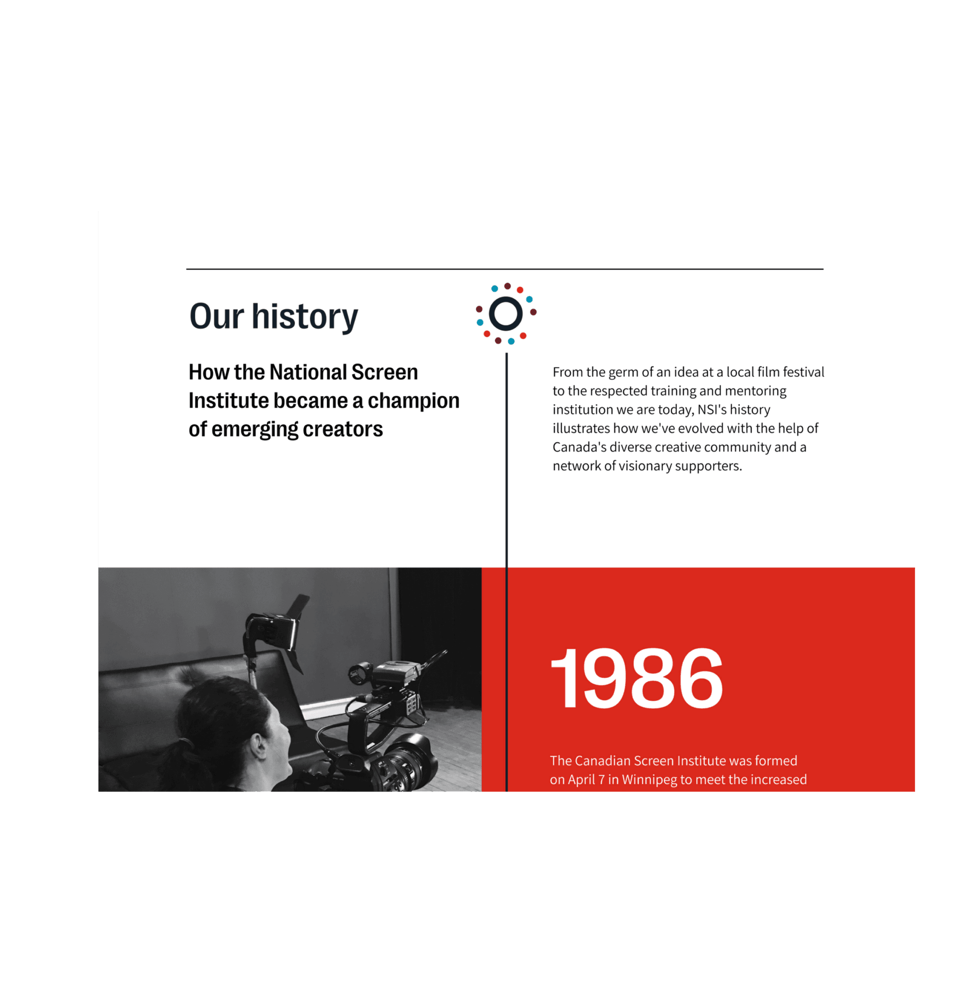 NSI website screenshot